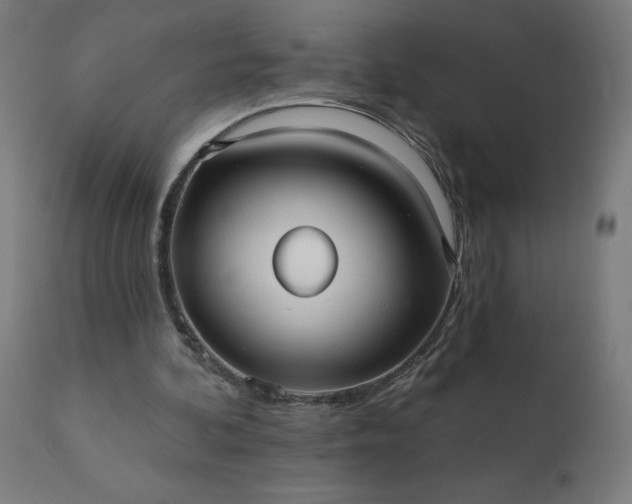 X0000112430292200908281908