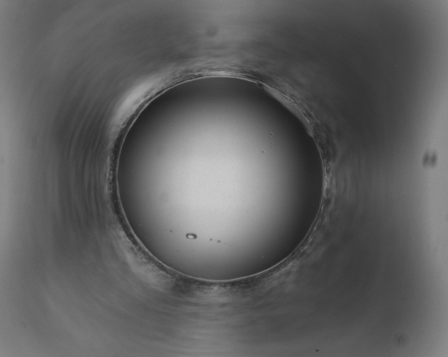 X0000112430293200908281908