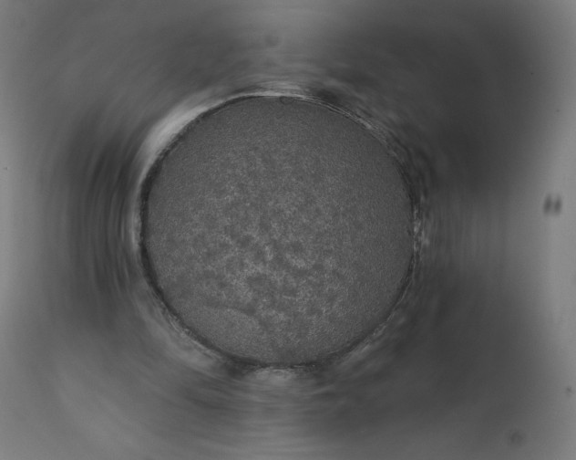 X0000112430294200908281908