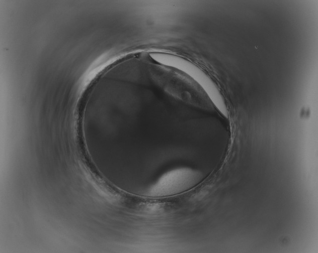 X0000112430295200908281908