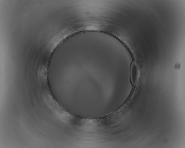 X0000112430297200908281908