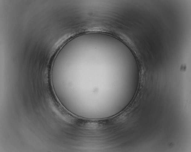 X0000112430298200908281908