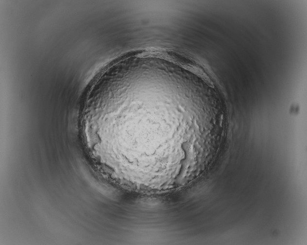 X0000112430299200908281908