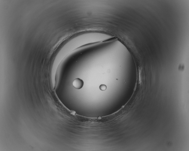 X0000112430300200908281908