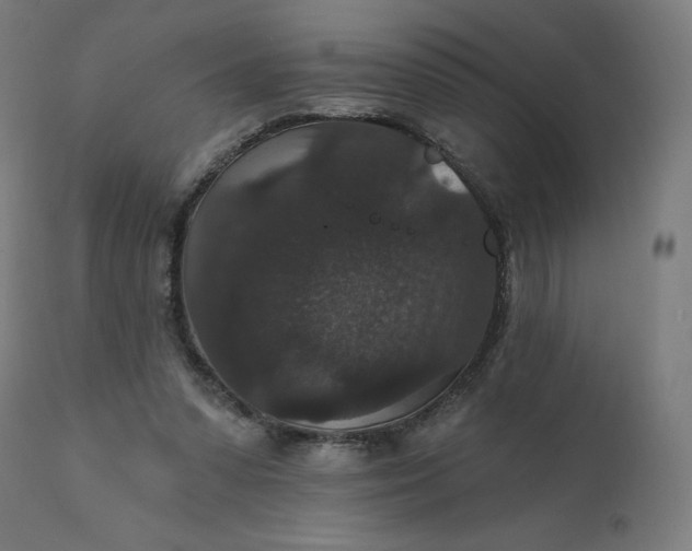 X0000112430303200908281908