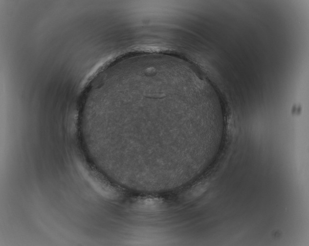 X0000112430304200908281908