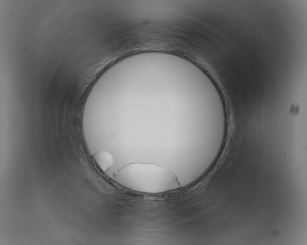 X0000112430305200908281908