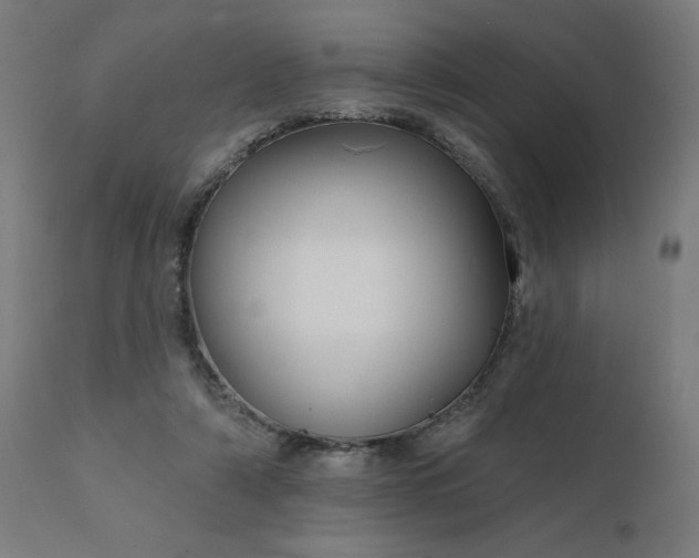 X0000112430306200908281908