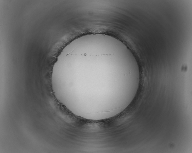 X0000112430307200908281908