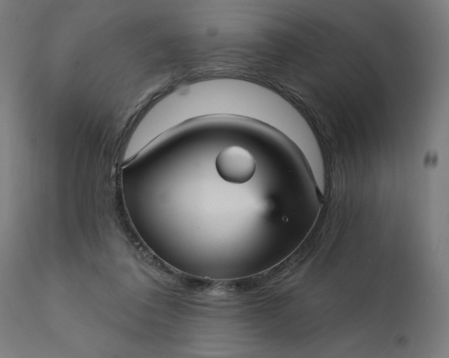 X0000112430308200908281908