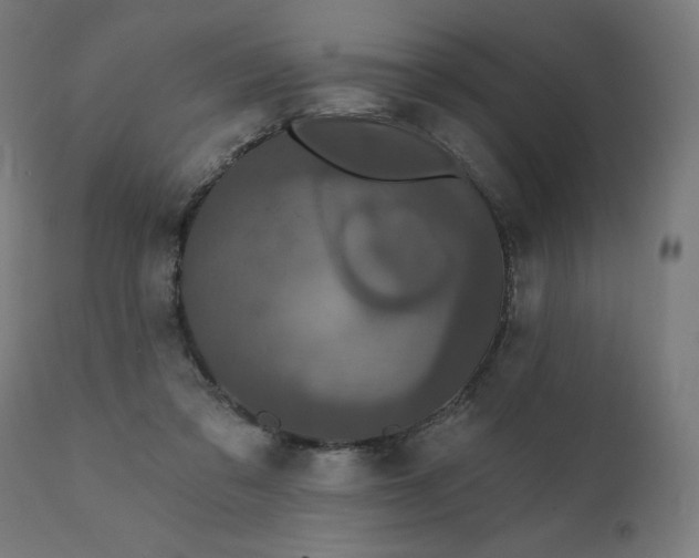 X0000112430309200908281908