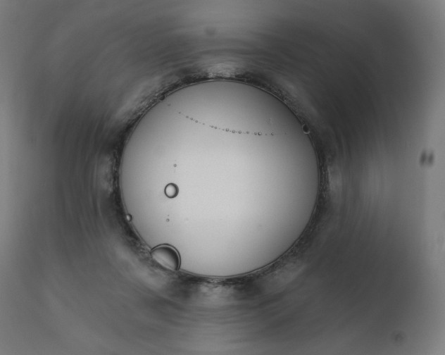 X0000112430311200908281908