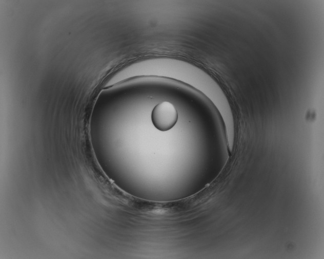 X0000112430312200908281908