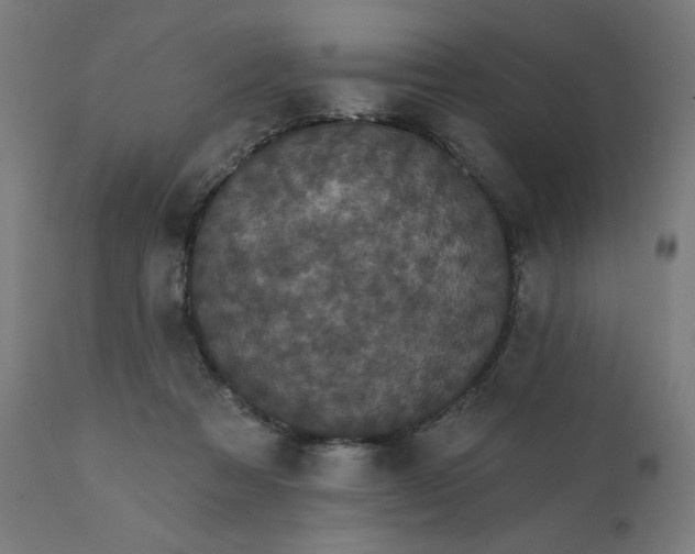 X0000112430313200908281908