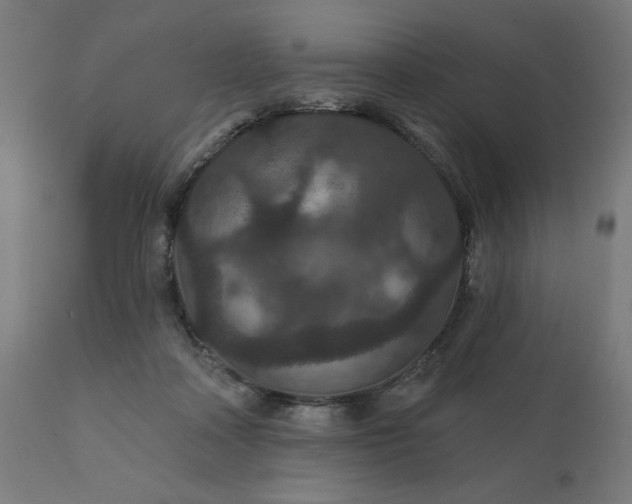 X0000112430314200908281908