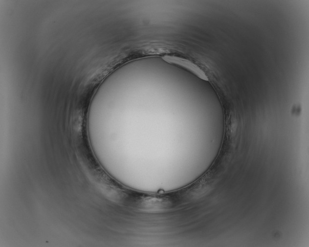 X0000112430315200908281908