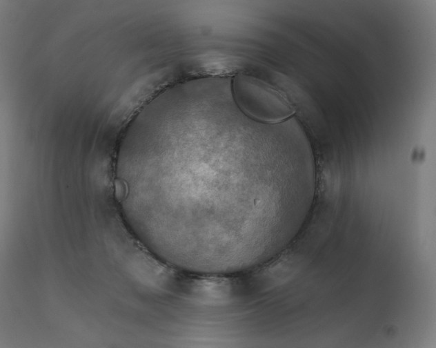 X0000112430317200908281908