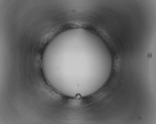 X0000112430318200908281908