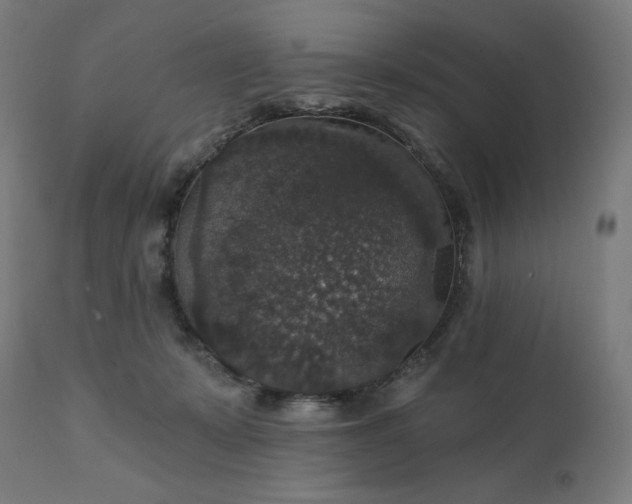 X0000112430319200908281908