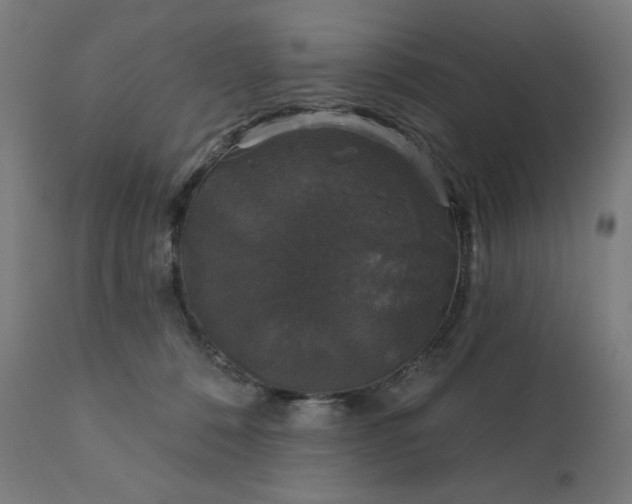 X0000112430320200908281908