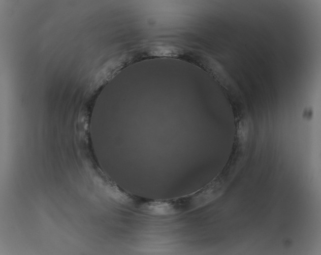 X0000112430322200908281908