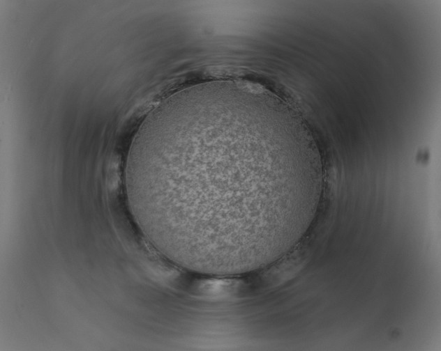 X0000112430323200908281908