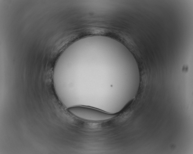 X0000112430325200908281908