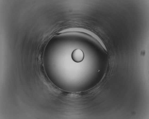 X0000112430327200908281908