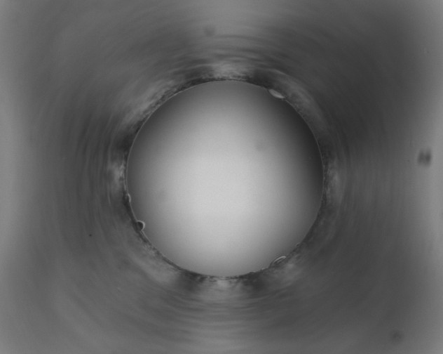 X0000112430329200908281908