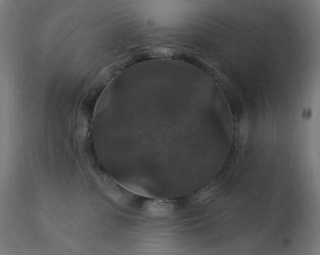 X0000112430331200908281908