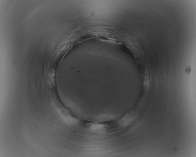 X0000112430332200908281908