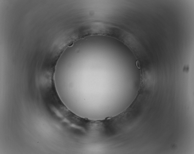 X0000112430333200908281908