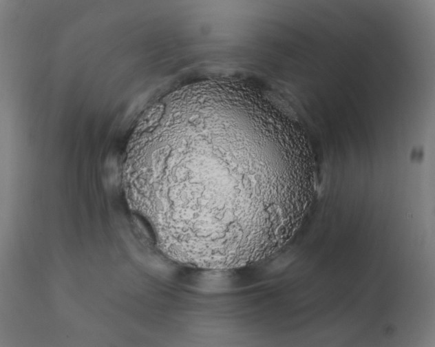 X0000112430335200908281908