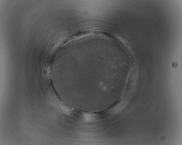 X0000112430336200908281908