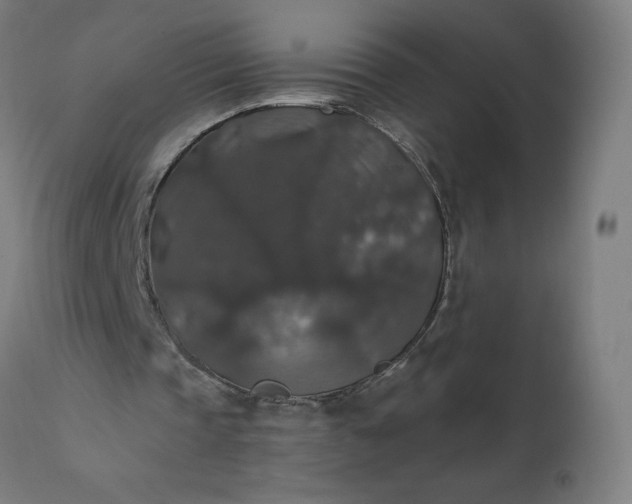 X0000112430337200908281907