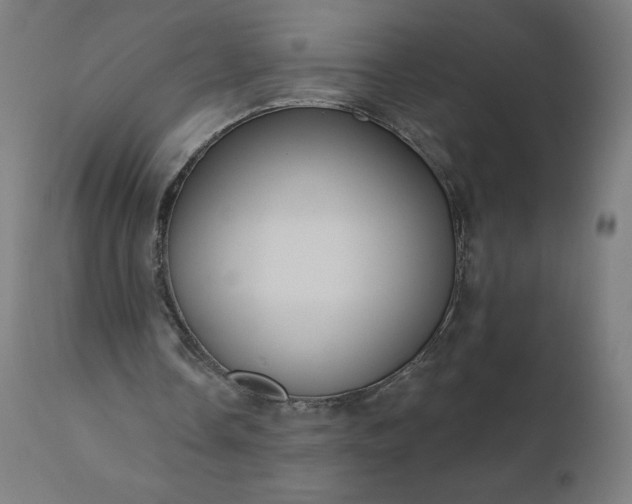 X0000112430338200908281907