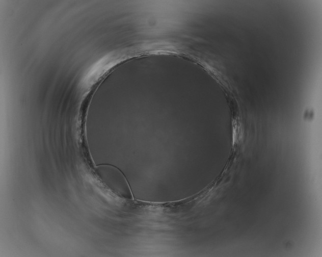 X0000112430339200908281907