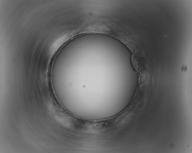 X0000112430340200908281907