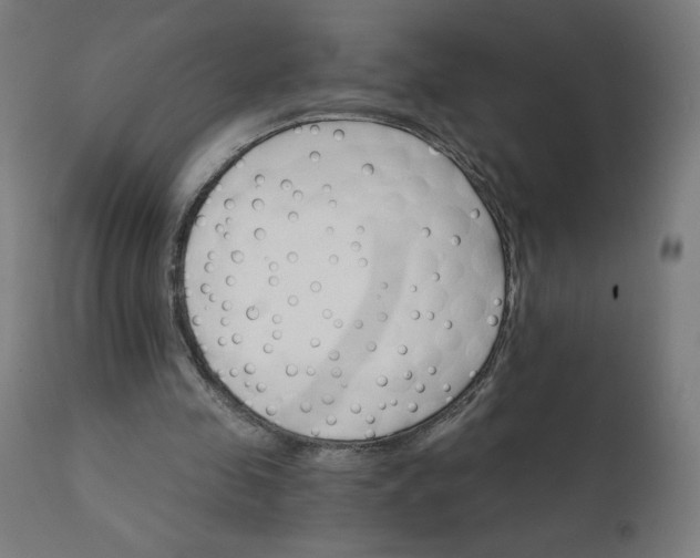 X0000112430341200908281907