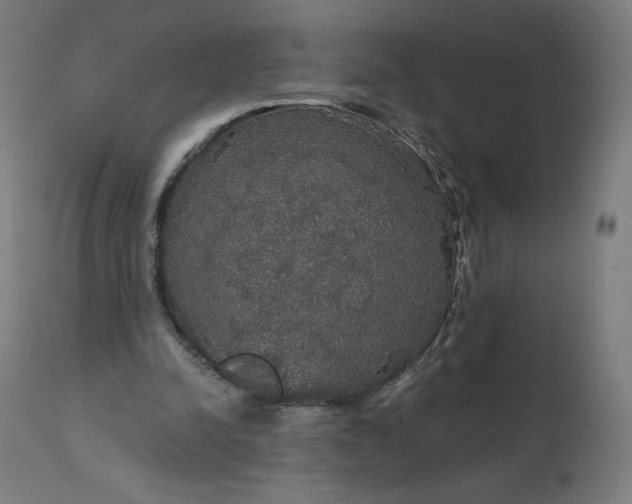 X0000112430342200908281907