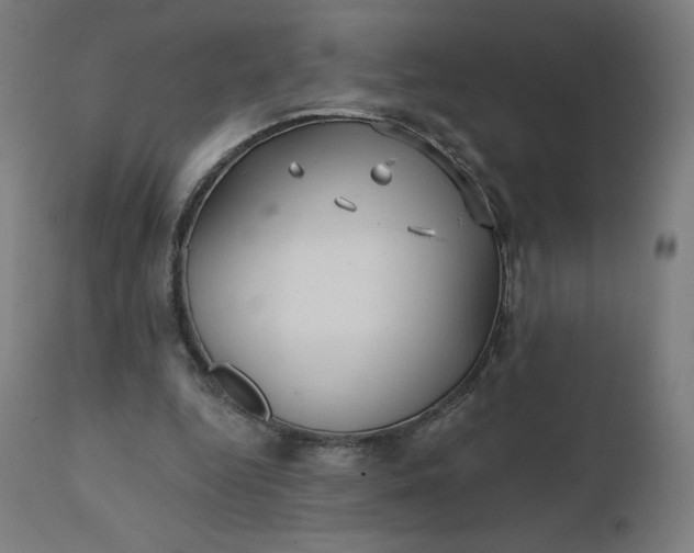 X0000112430344200908281907