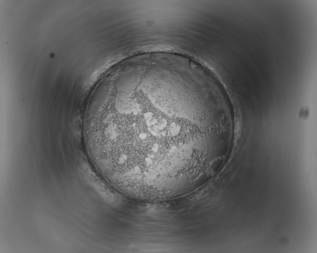 X0000112430345200908281907