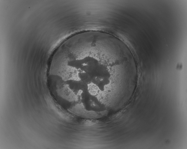 X0000112430346200908281907