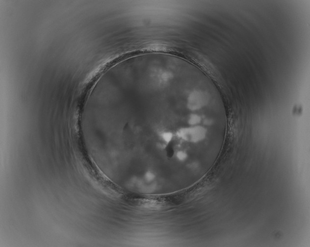 X0000112430347200908281907