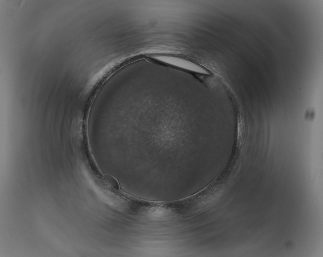 X0000112430348200908281907