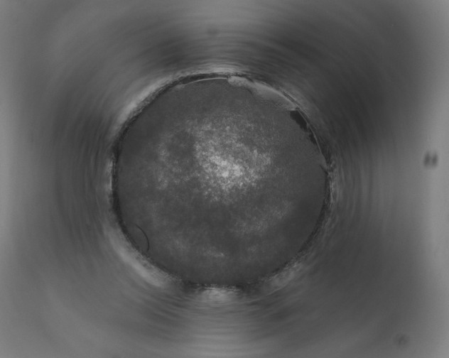 X0000112430350200908281907