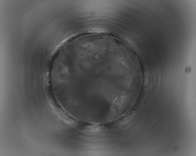 X0000112430351200908281907