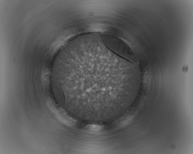 X0000112430352200908281907