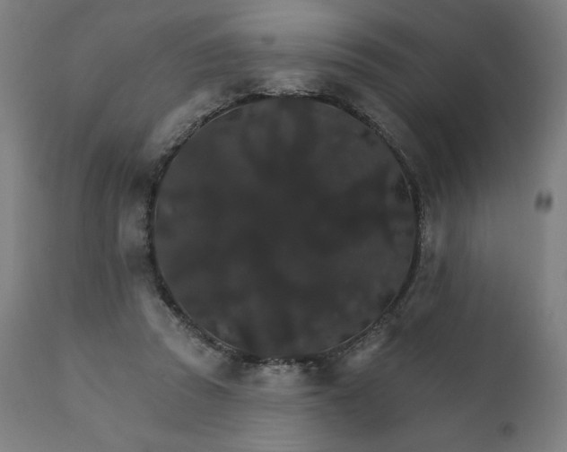 X0000112430353200908281907