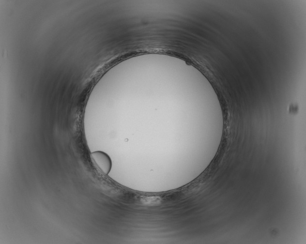 X0000112430355200908281907